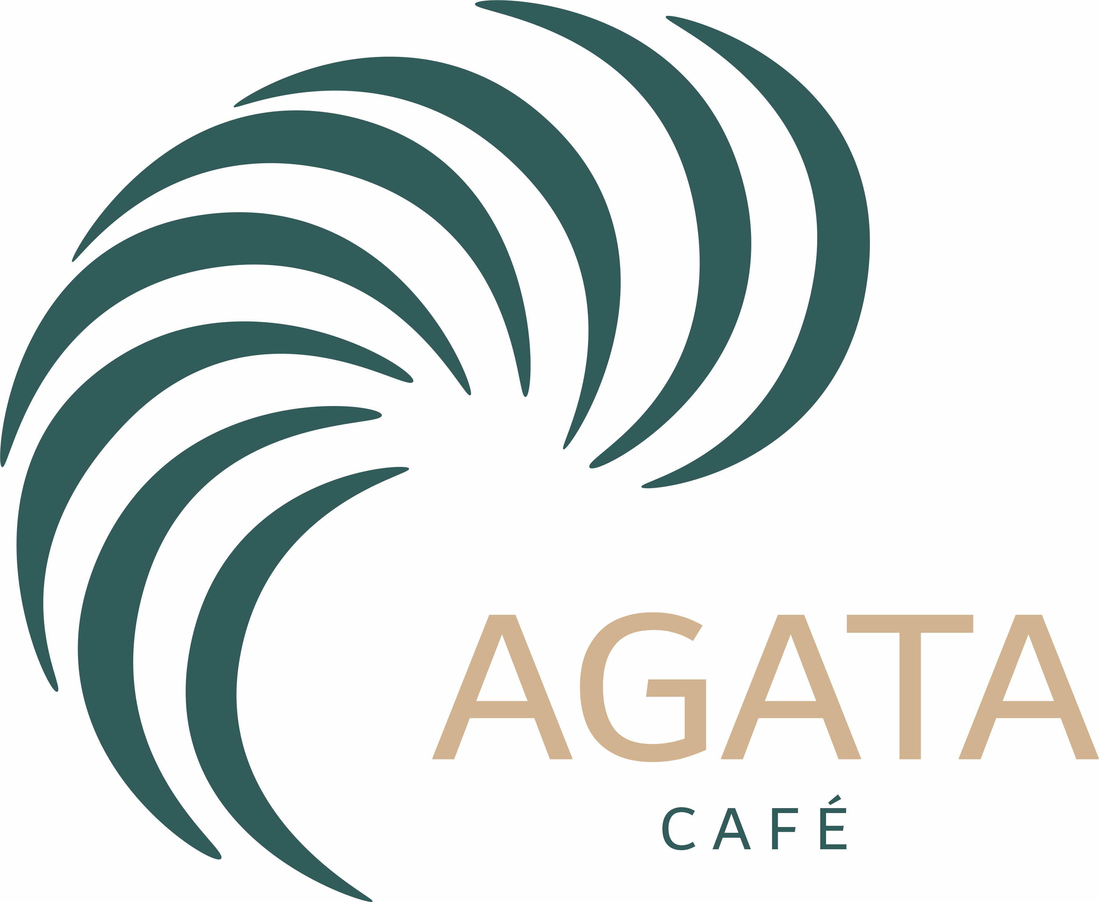 Agata Café tostado de origen único para mayoristas